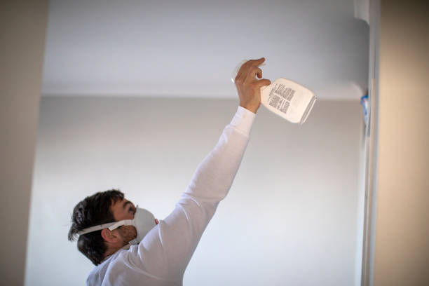 Best Affordable Mold Removal  in Henagar, AL