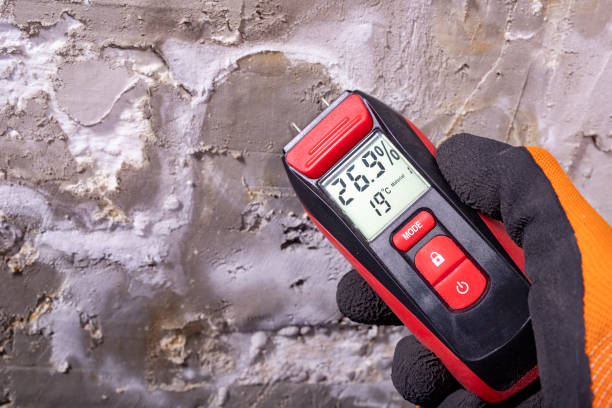 Best Residential Mold Removal  in Henagar, AL