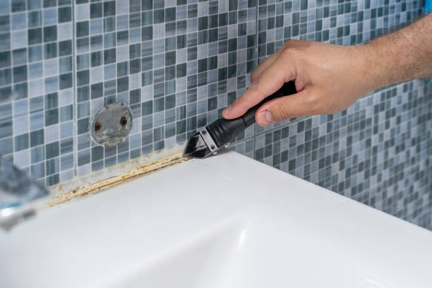 Best Fast Mold Removal  in Henagar, AL